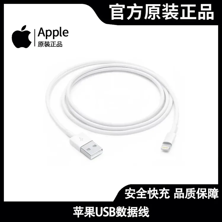 准新品 Apple/苹果 闪电L口转USB手机原装数据线通用ipad传输1米商品图