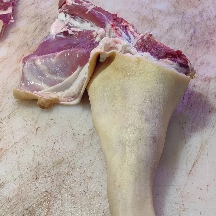 带骨带皮小耳朵羊后腿肉适合火烤新鲜羊肉羊腿带皮羊肉生鲜羊小腿