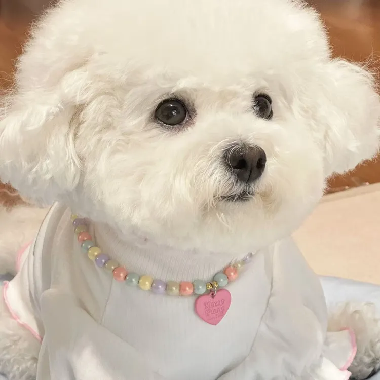 17Pet.S【达人】马卡龙宠物项链爱心吊坠小型犬比熊泰迪饰品