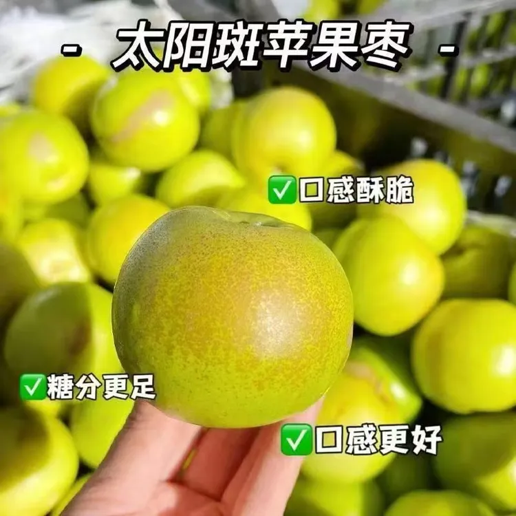 正宗苹果枣西双版纳清脆爽口生态种植苹果枣反差