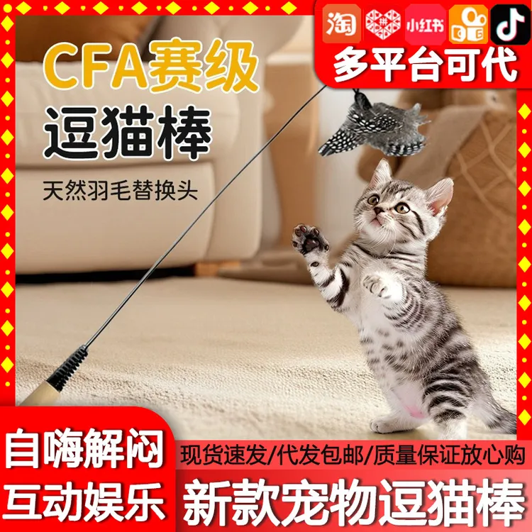 猫玩具CFA赛级逗猫棒幼猫斑点羽毛替换头耐咬猫猫咪玩具宠物用品