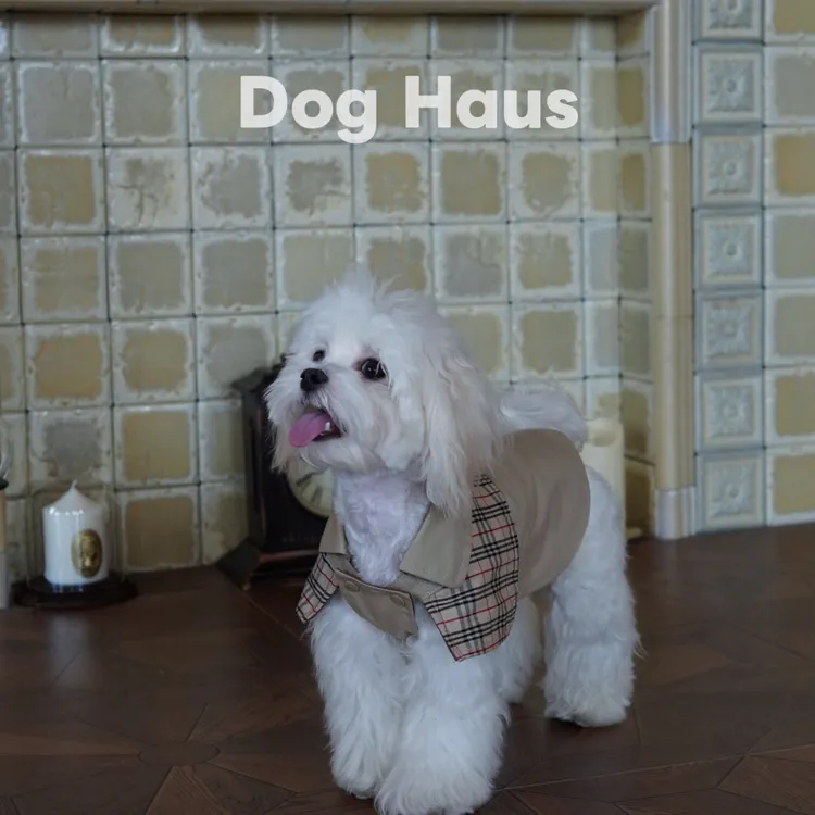Dog Haus2025年秋冬新款狗狗衣服卡其色格子拼接英伦风风衣小型犬