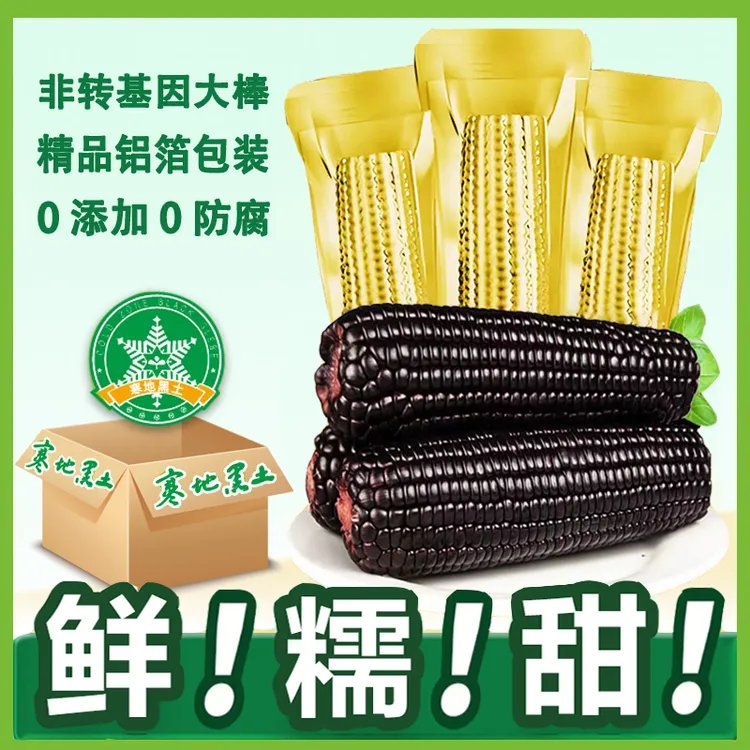 【试吃2支】10根东北甜黑糯玉米真空包装健康粗粮软糯玉米250-320克