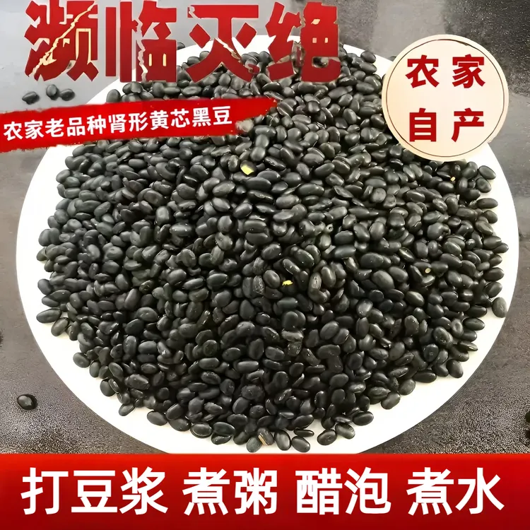 农家自产黑豆 黄心黑豆 老品种肾形黑豆五谷杂粮煮粥煲汤煮水豆浆
