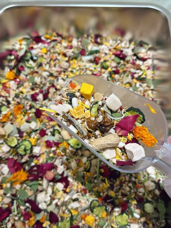 阿呆熊屋金丝熊主粮营养均衡长肉美毛自配全价仓鼠粮