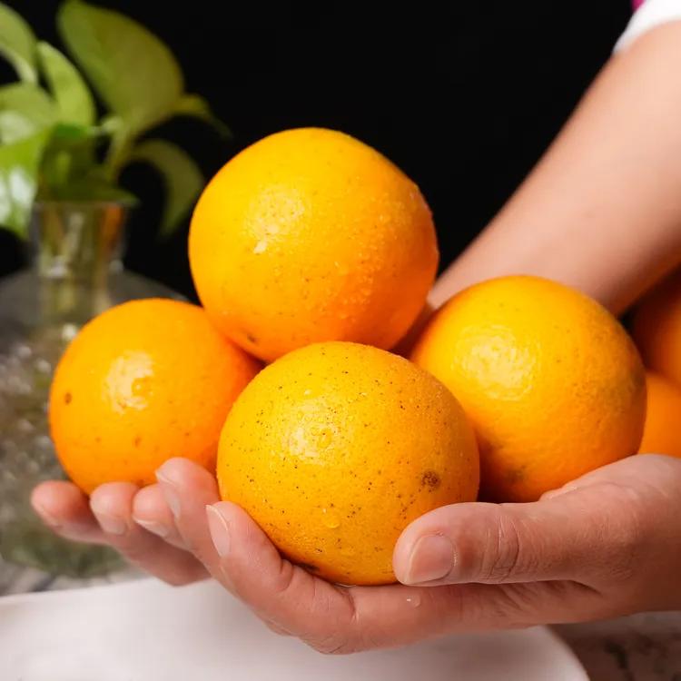 【试吃两个】正宗湖南麻阳冰糖橙新鲜采摘清甜多汁 净重4.5/9斤装