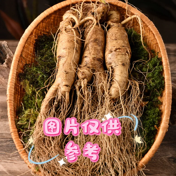 正宗长白山新鲜带土精选人参现挖现卖煲汤泡酒味道浓郁滋补佳品