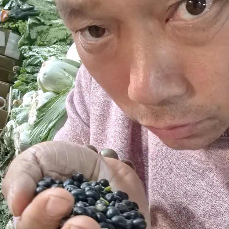 老杨寻民间黑豆～抖音