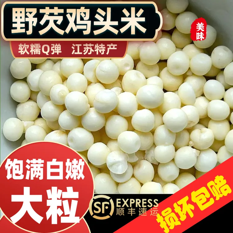 【顺丰冷鲜】江苏野芡鸡头米2025特产新鲜芡实苏州鸡头米机剥茨实