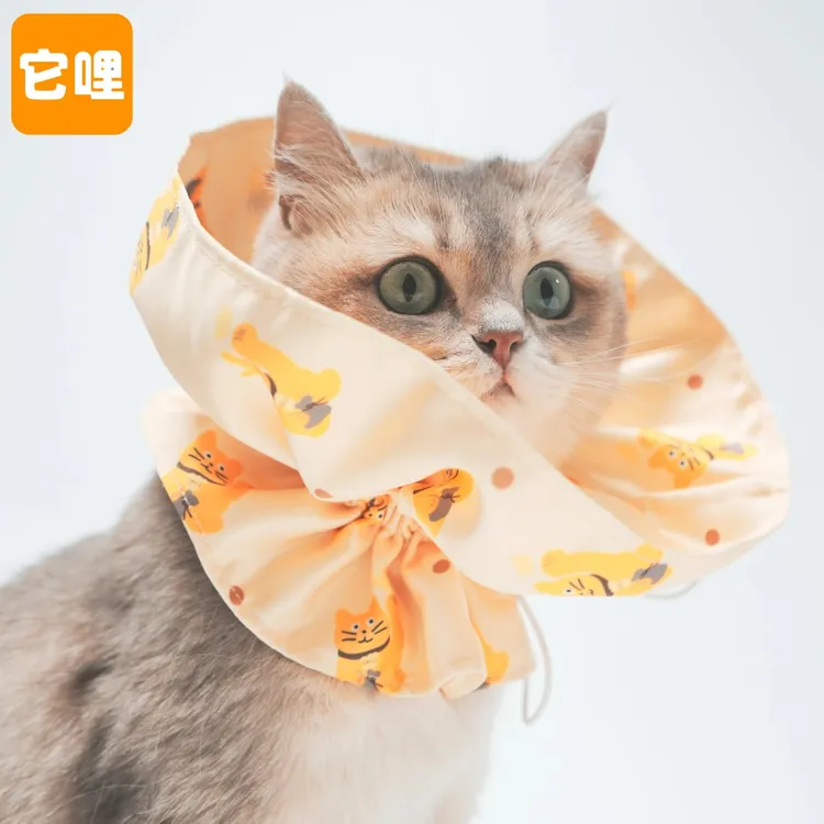 TALI/它哩猫宠物伊丽莎白圈可爱橘原创招财猫可调节式防抓挠皮肤