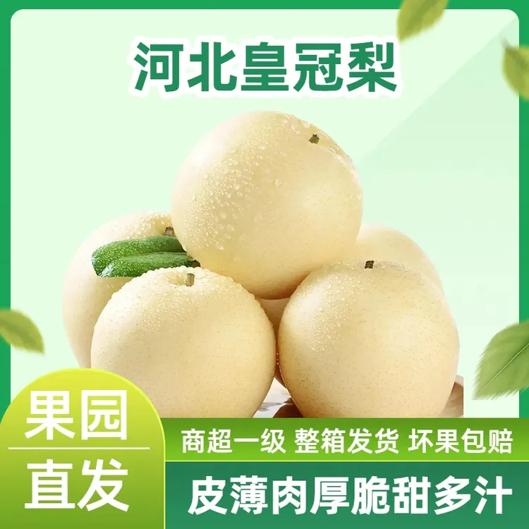 【京东顺丰】现摘新梨河北皇冠梨薄皮水果脆甜多汁应季白梨子黄皮梨