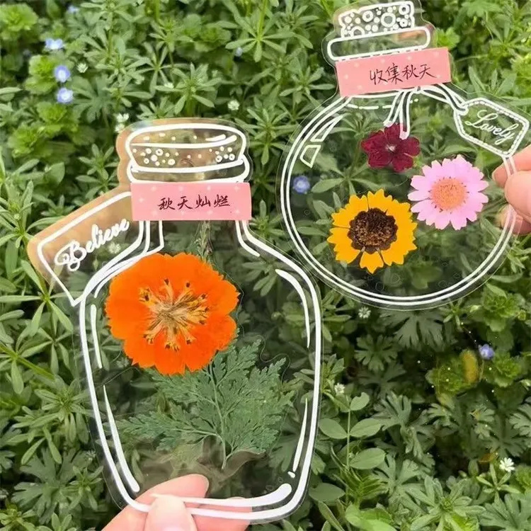 瓶子里的秋天手工DIY透明贴纸创意书签收集秋天树叶花瓣标本W2