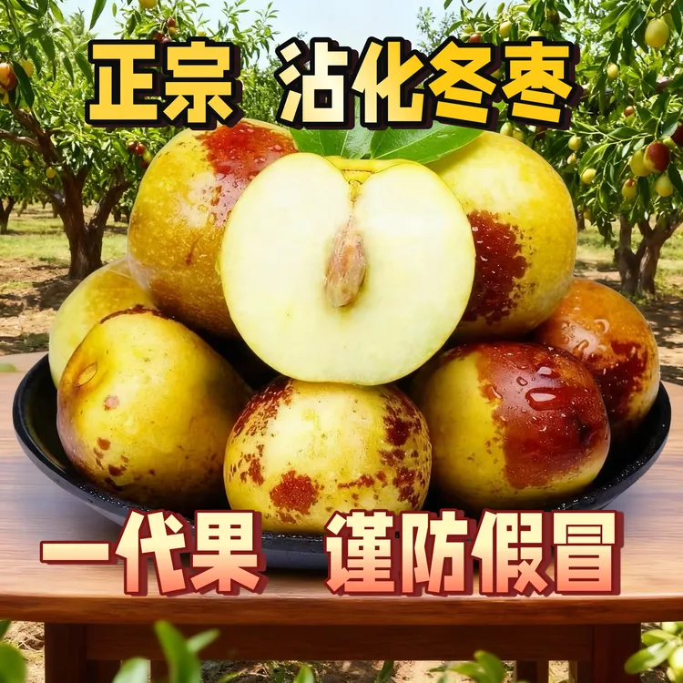 侠义盟正宗沾化冬枣 侠义盟优选山东沾化冬枣一代精果 助农5斤装
