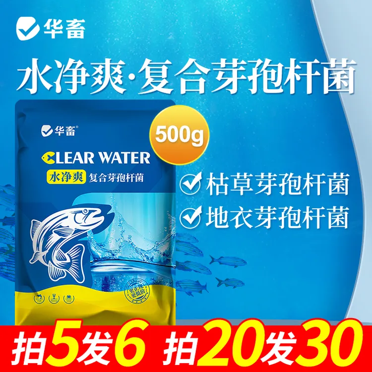 【抢】万亿芽孢复合芽孢杆菌水净爽免红糖鱼虾蟹水产养殖调水净水F商品图