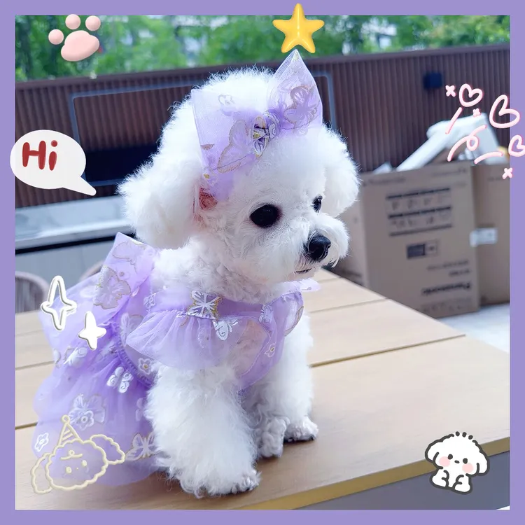 【蝴蝶泉边】夏季超薄公主裙烫金蝴蝶薄款连衣裙猫狗通用牵引扣