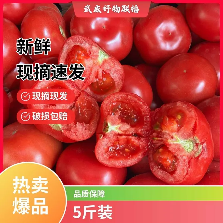 口感好 沙瓤 西红柿