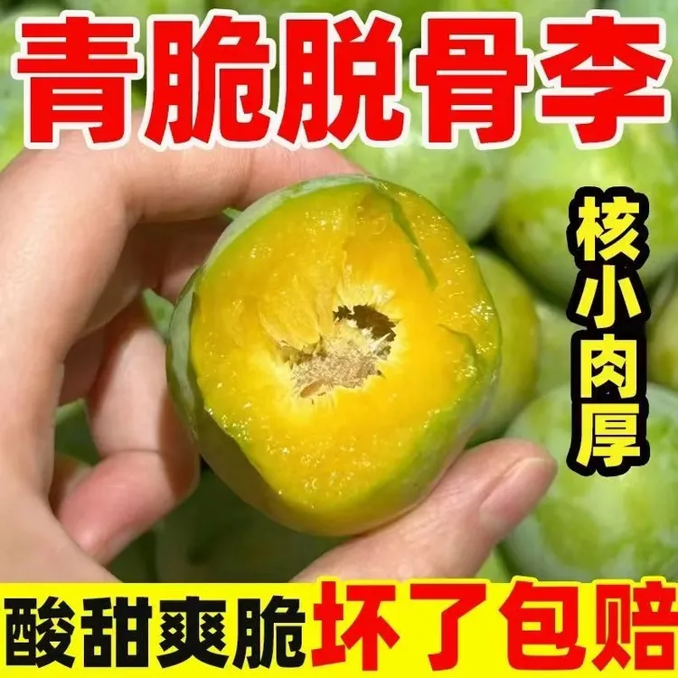 【正宗清脆李】特大果四川正宗青脆李脱骨李冰糖李子新鲜水果高山