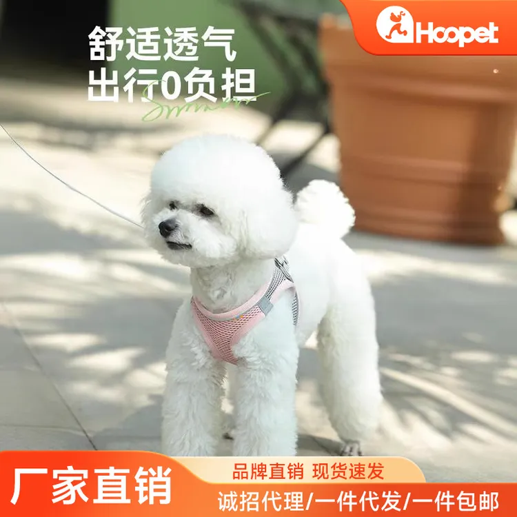 狗狗牵引绳猫咪狗绳子背心式胸背带小狗牵狗绳小型犬泰迪宠物遛狗