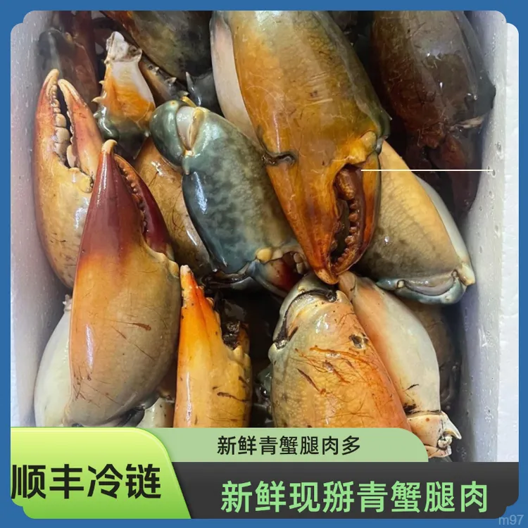 新鲜青蟹腿特大蟹钳鳌大肉多海鲜水产活蟹冷冻青蟹脚钳野生现掰