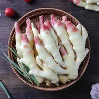 山东嫩姜鲜姜农家新鲜现挖当季可腌制泡菜醋泡子姜