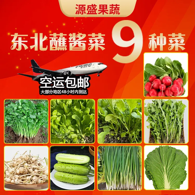 东北新鲜蘸酱菜组合9种菜（空运包邮）赠大酱
