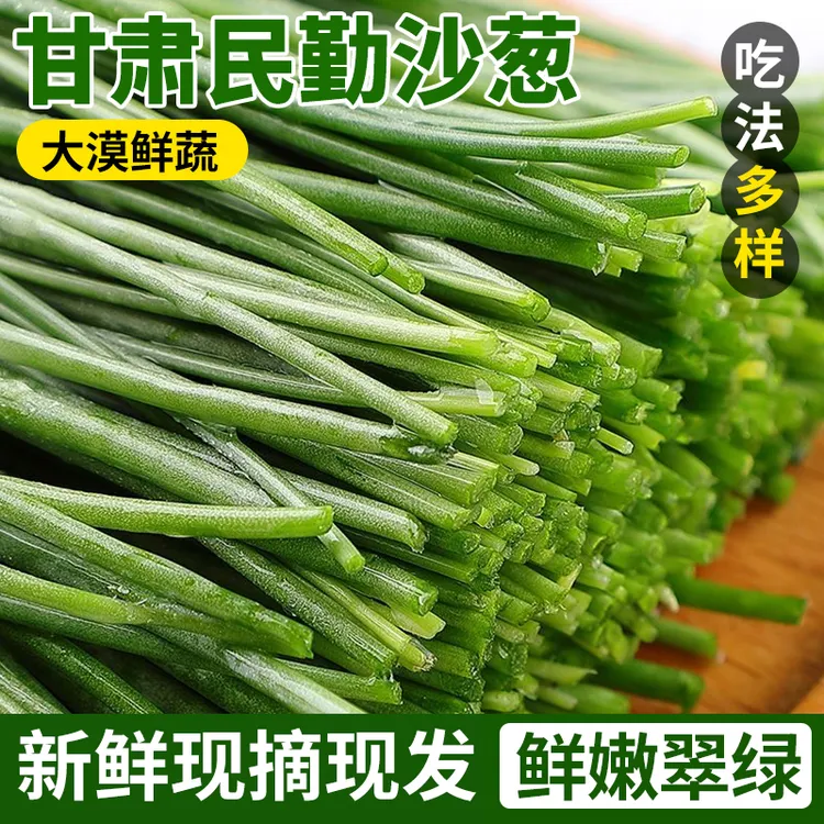 【顺丰包邮】大漠鲜产沙葱特产农家野菜新鲜蔬菜火锅凉拌饺子馅