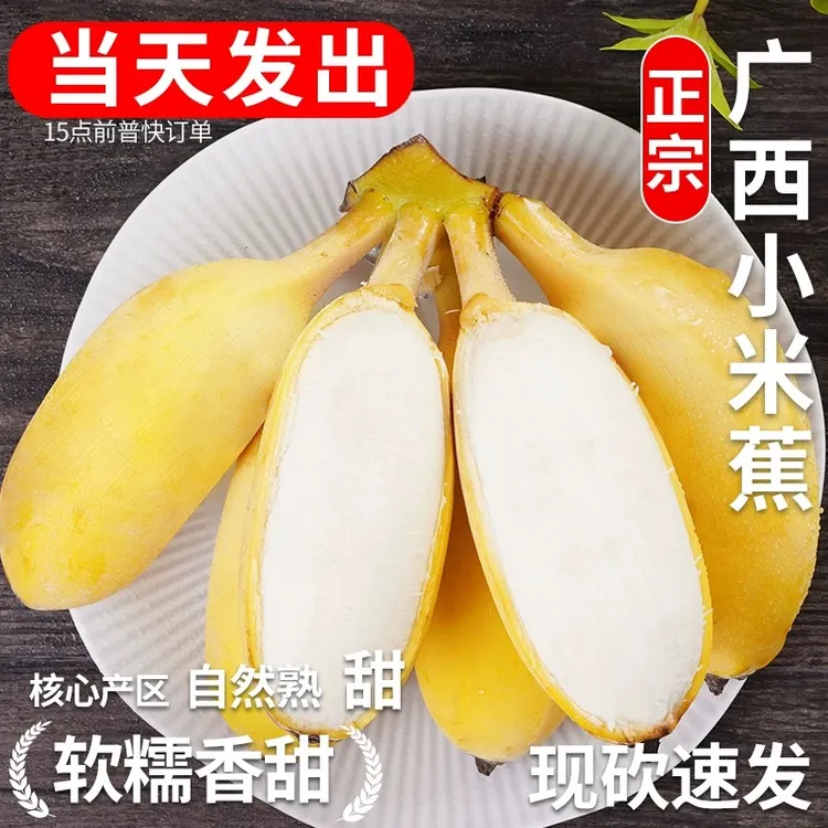 正宗广西小米蕉当季新鲜水果小香蕉产地直发小芭蕉酸甜蕉小蕉