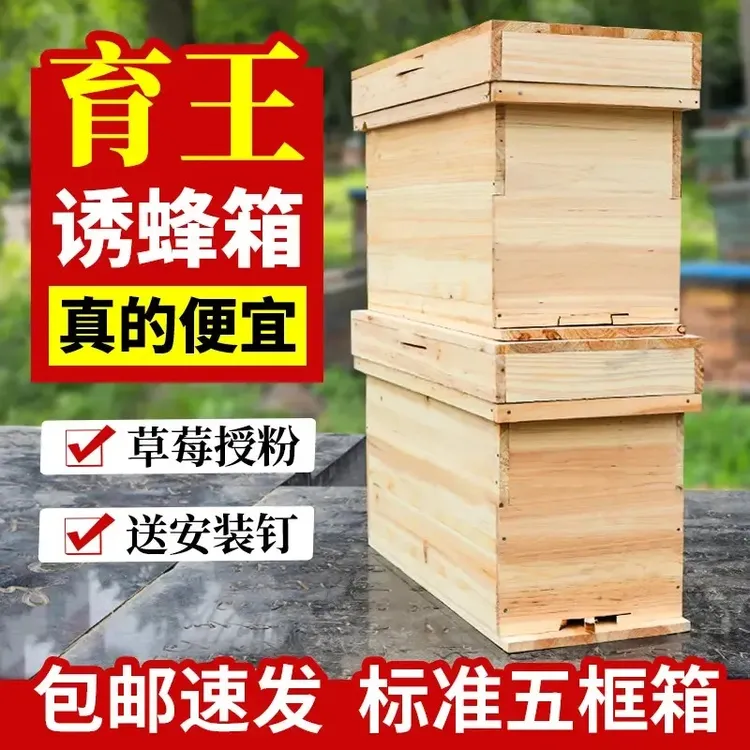 杉木蜂箱草莓授粉1.1厚五框加厚养蜂箱烘干蜜蜂煮蜡蜂箱散装发货