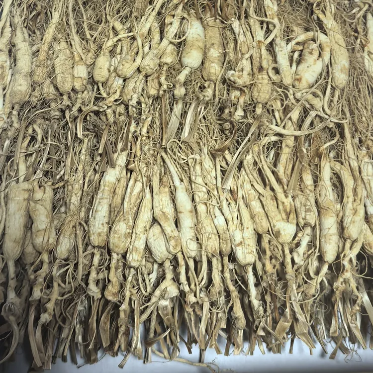 干人参残肢断须家庭特惠装人参
