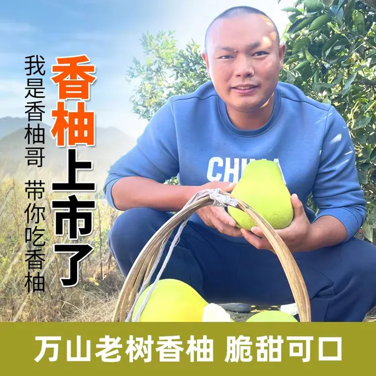 万山香柚高山小苦柚脆甜多汁爽口有点微微回苦药柚脆甜柚清香味