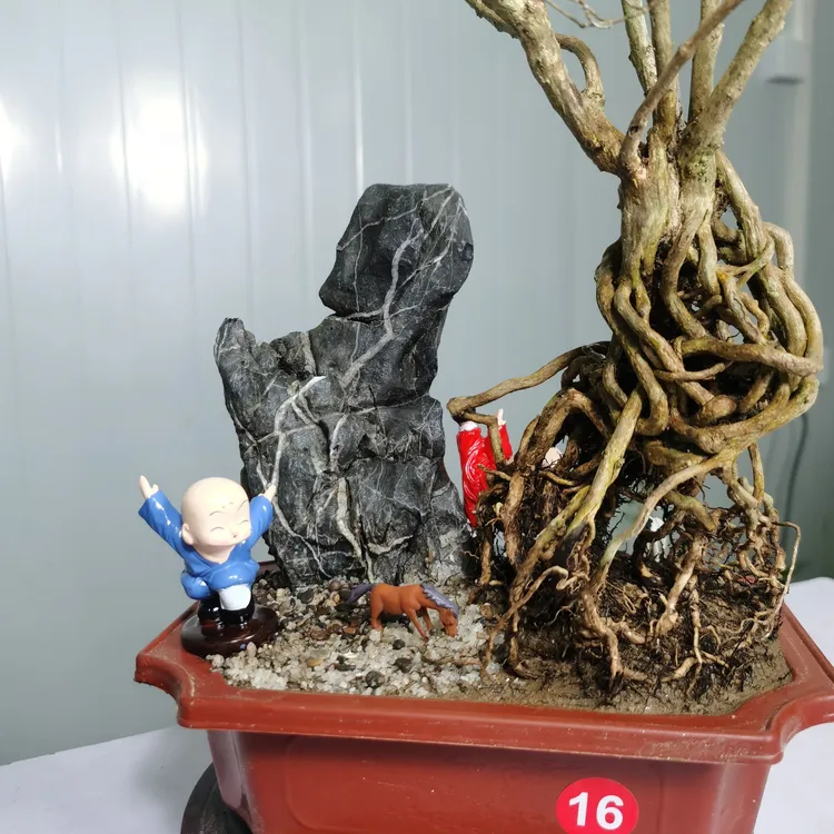 室内盆栽树假山绿植小盆景一物一拍精品微景观摆件办公室绿植盆景
