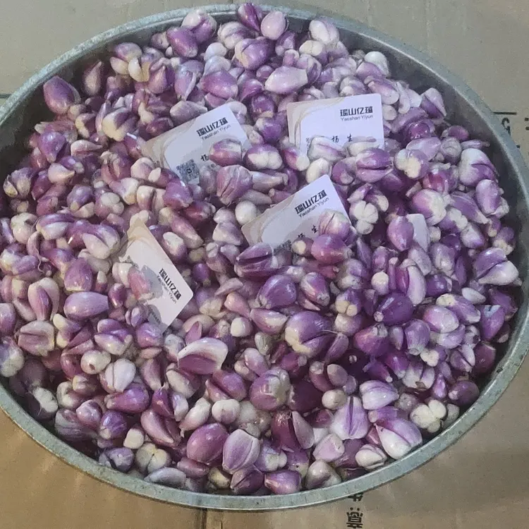 无品牌正宗广东去皮红葱头新鲜香葱头手工剥皮餐饮酒店用