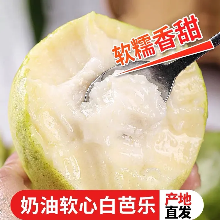 【俊俊专属】广西白心冰淇淋芭乐5斤空运装送酸梅粉