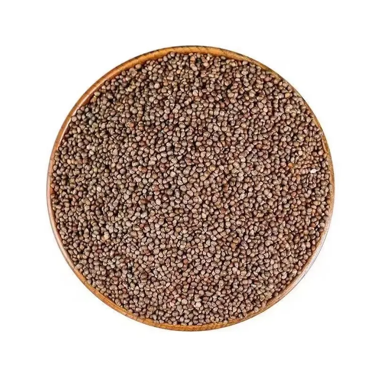 苏子籽 苏籽 东北紫苏 苏籽 农家种植 无添加