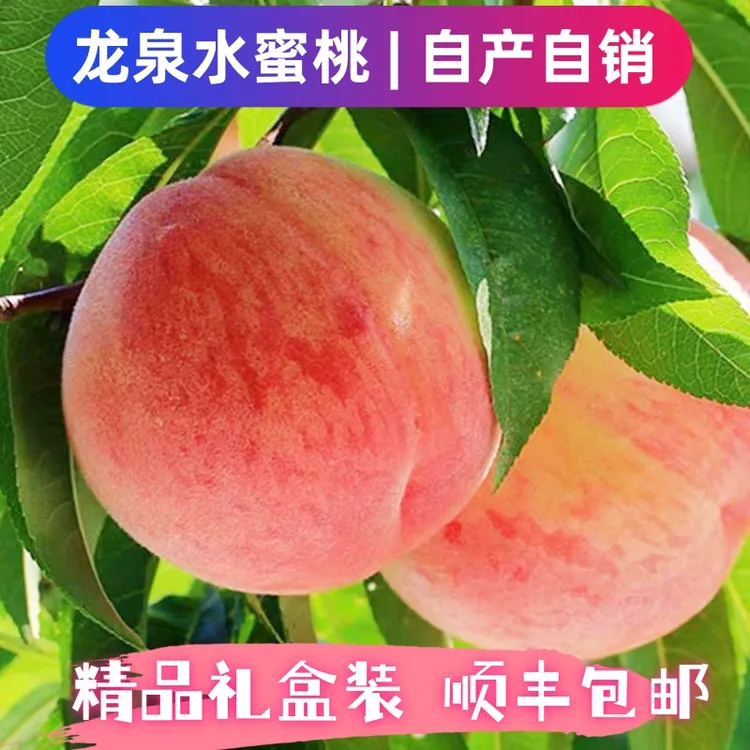成都龙泉驿水蜜桃晚湖景现摘多汁脆软两吃顺丰空运包邮