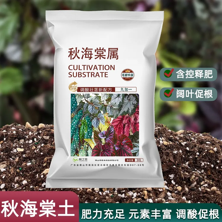 秋海棠专用土种植盆栽鳟鱼乌头杂营养土竹节室内蟆叶泥炭白冰土壤