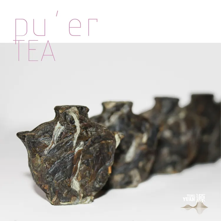 源自世界遗产景迈山古茶林2025年 源春茶6g/袋 盖碗生普小玉饼