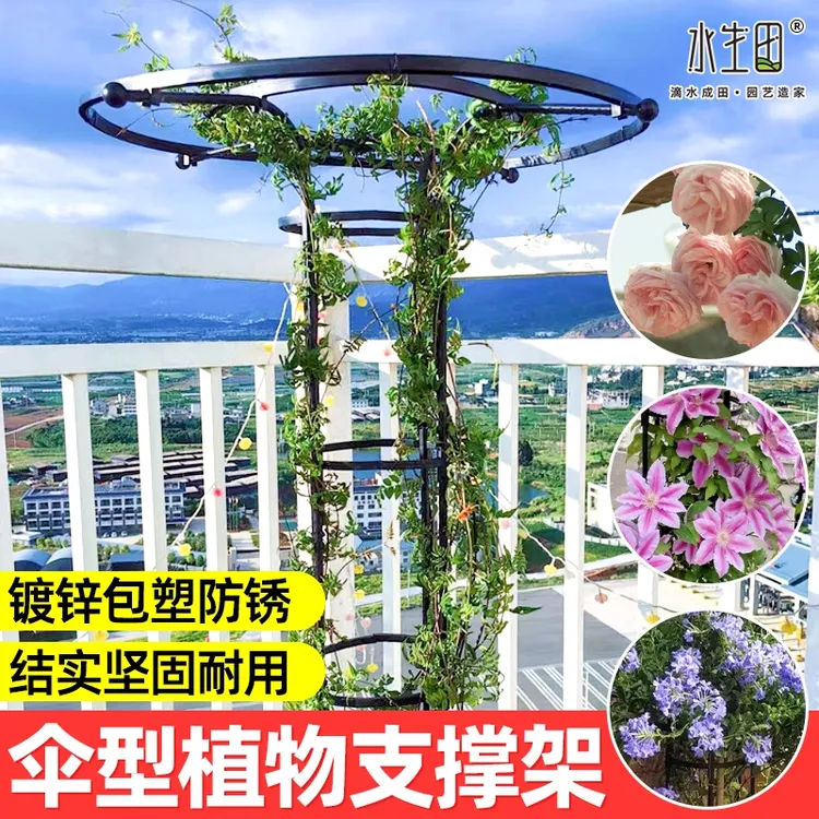 伞形爬藤花支架蟹爪兰专用阳台花架植物种菜支架爬藤花架户外架子