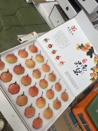 鞍山南果梨高端精品礼盒包装