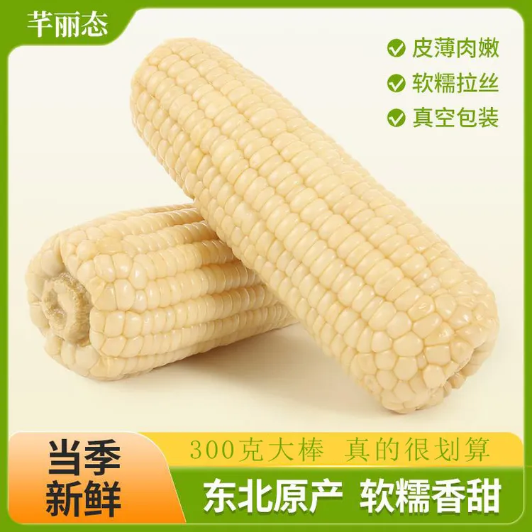芊丽态25年新玉米东北白糯玉米单根300克*8支/10支支持试吃两根