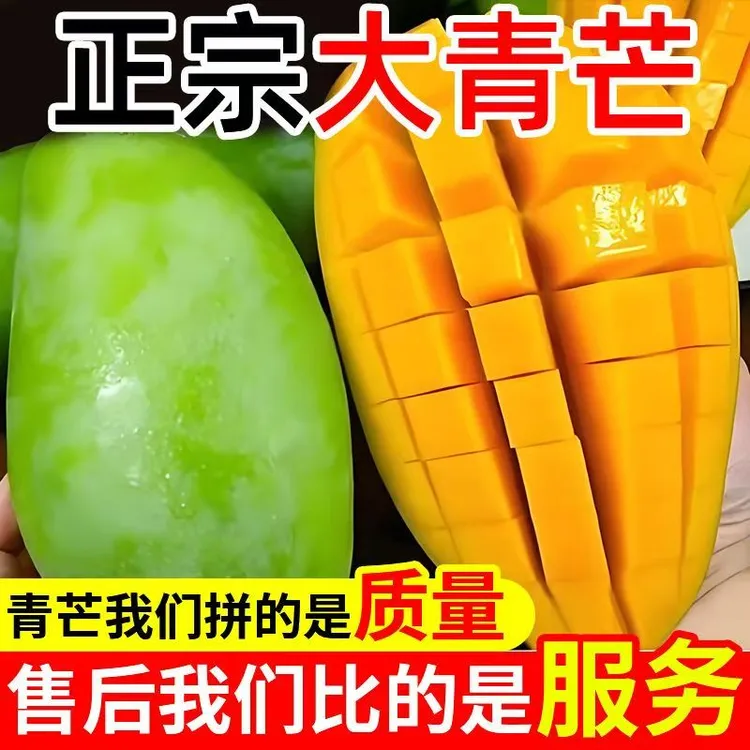 【现摘现发】云南大青芒青皮金煌芒果新鲜采摘当季水果