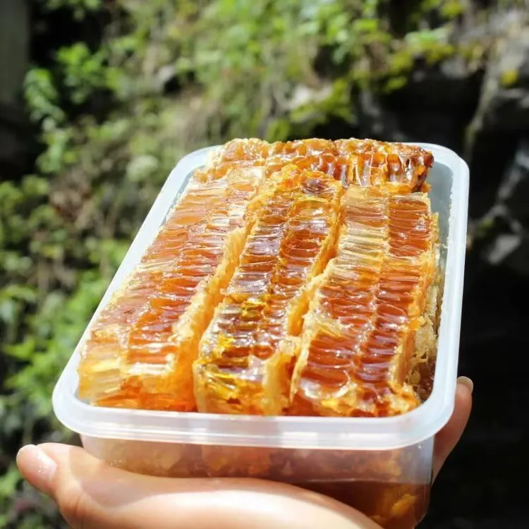【新店开业福利】现切蜂巢蜜整块切割盒装500克农家纯正蜂窝嚼着吃