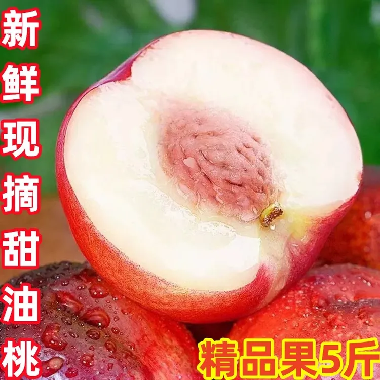 宝鸡陇县北坡离核脱骨油桃黄土高原农家自家脆甜油桃水果5斤包邮
