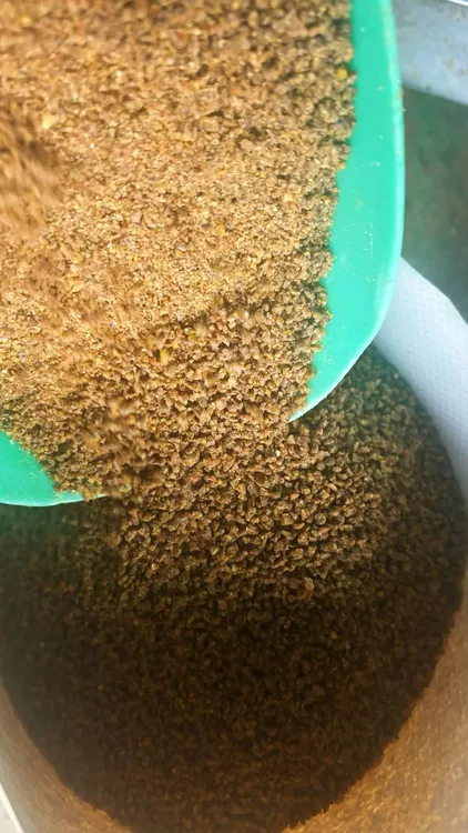 产蛋鹌鹑专用饲料