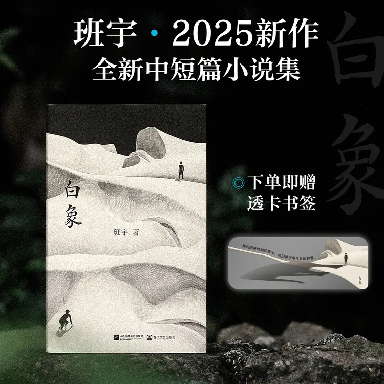 磨铁【专享透卡书签】《白象》——班宇全新中短篇小说集