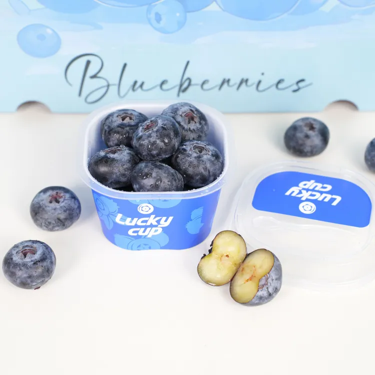 【自然授粉花香宝宝杯】秘鲁蓝莓大果16+mm 花香浓郁【顺丰京东包邮】商品图