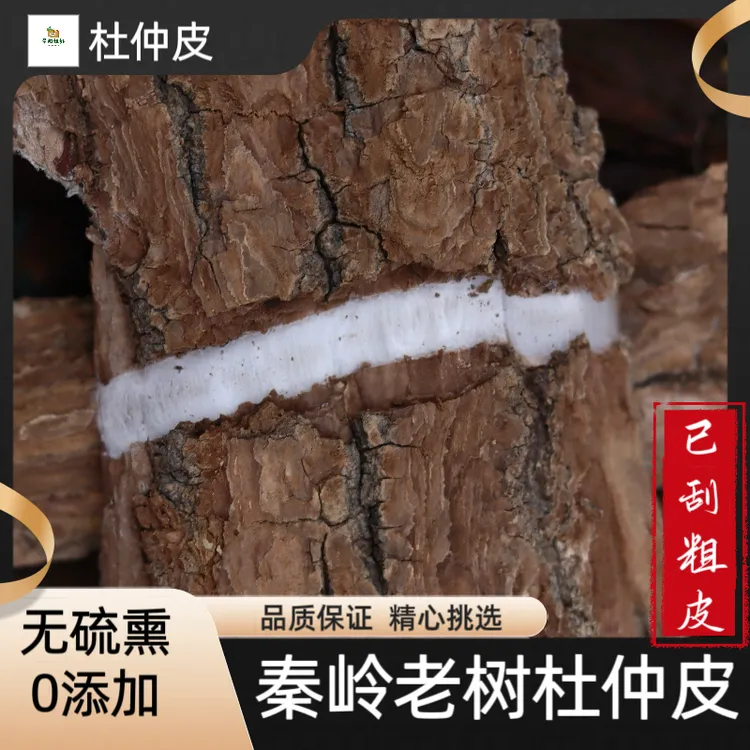 老杜仲皮 伏牛山野外采集50年老树杜仲去粗皮厚皮丝绵树250g包邮 