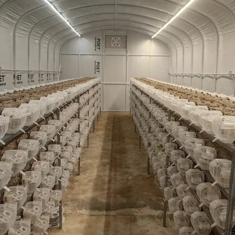 马蜂养殖桶10套装   养马蜂套装10套装