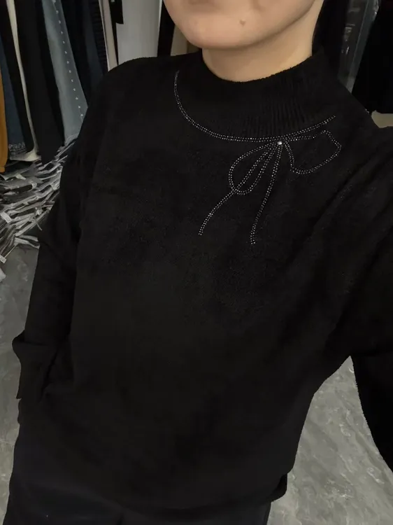 【丽姐家】冬季新款显瘦保暖天鹅绒百搭打底衫01