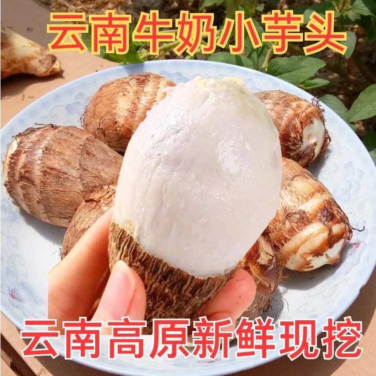 云南高原牛奶小芋头新鲜小芋艿毛芋头农家自种新鲜蔬菜现挖发